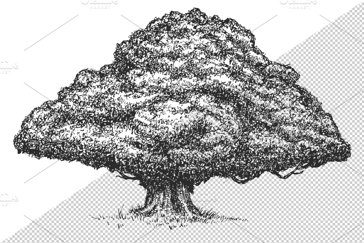 Trees, an Illustration by CGterminal (Photo 3 of 3)