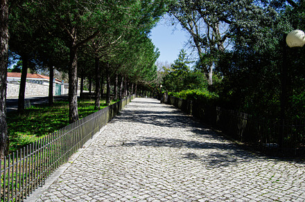 Cobblestone path surrounded by green trees in Fatima, Portugal on a sunny day, a Photo by AS photostudio