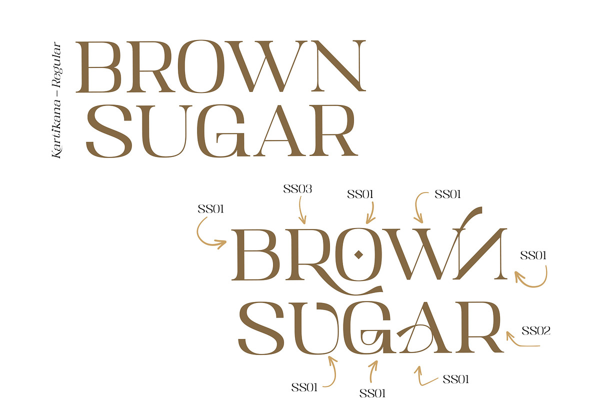 Kartikana Serif, a Serif Font by Ardyanatypes (Photo 6 of 12)