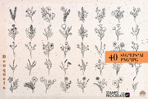 Botanical Line Art Collection