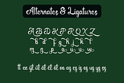 Annaleta - Modern Script Font, a Script Font by Favo Write (Thumbnail 9 of 11)