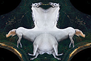 Unwrap Machine - Distort Warp Action, an Action Add-On by bangingjoints (Thumbnail 6 of 8)