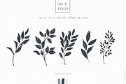 Ink botanicals, logos & patterns, a Texture Illustration by Lisa Glanz (Thumbnail 4 of 32)
