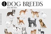 DOG BREEDS Encyclopedia, an Animal Illustration by Anastezia Luneva (Thumbnail 2 of 13)