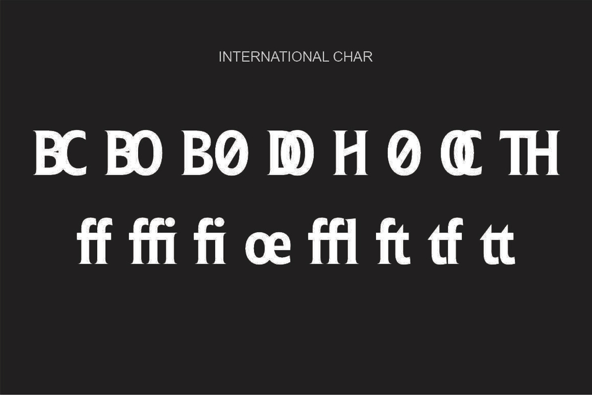 Ginfitanle, a Serif Font by studiobasic (Photo 9 of 11)