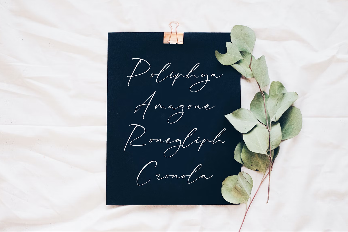 Rhastela Greams Modern Signature, a Script Font by Storytype Studio (Photo 9 of 15)