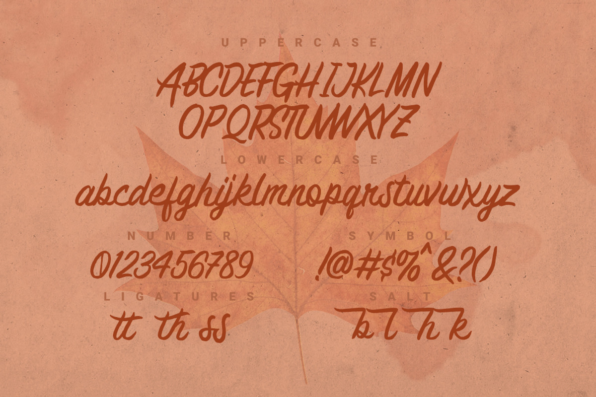 Brashed Typeface preview 2