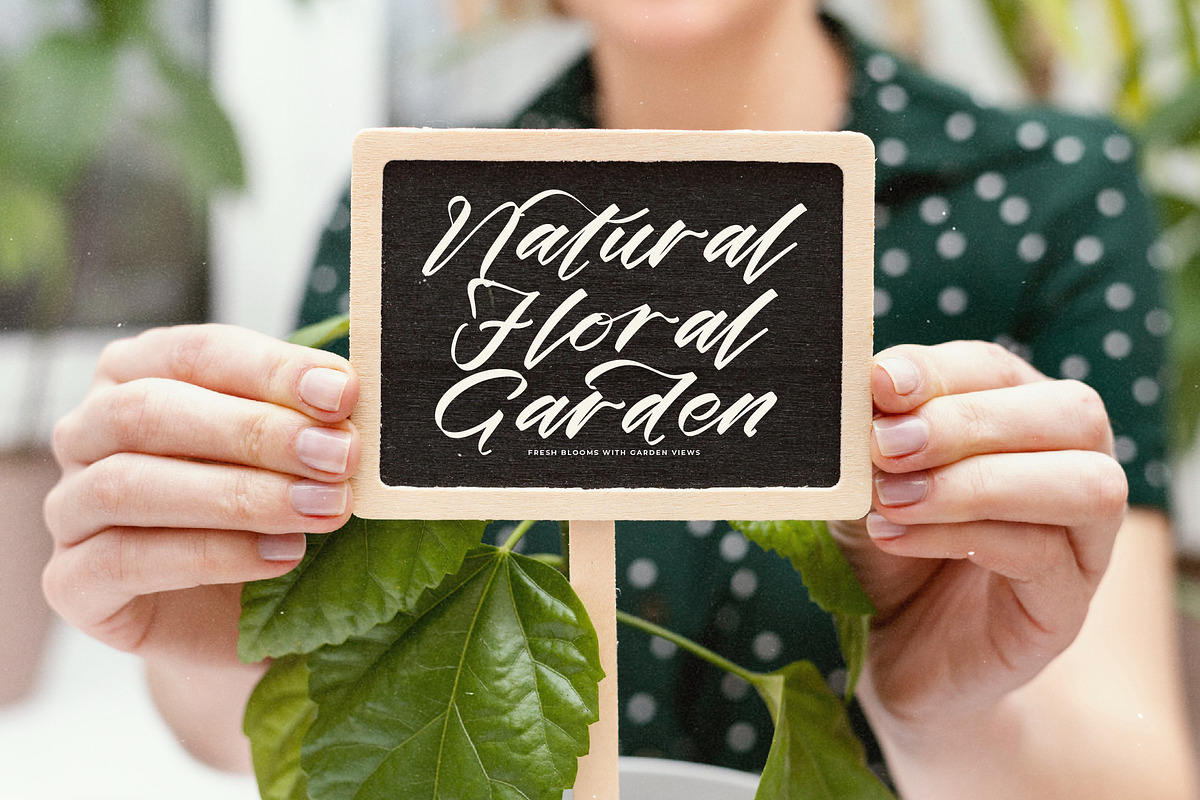 Melifates Modern Elegant Handwritten, a Script Font by stylishtype.co (Photo 15 of 20)