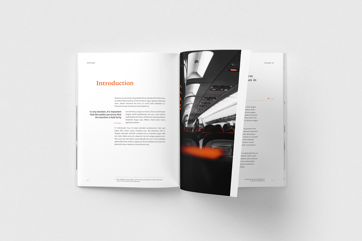 White Paper, a Brochure Template by silukEight (Photo 4 of 19)