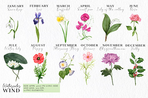 Birth Month Flower Png Clipart