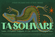 TA Solivare Variable, a Sans Serif Font by TAFT Foundry (Thumbnail 15 of 15)