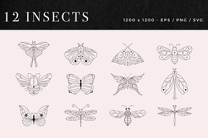 Clipart & Patterns: Minimal Insects