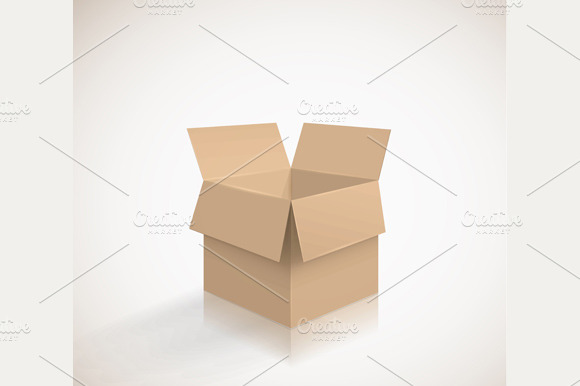 carton box preview 4