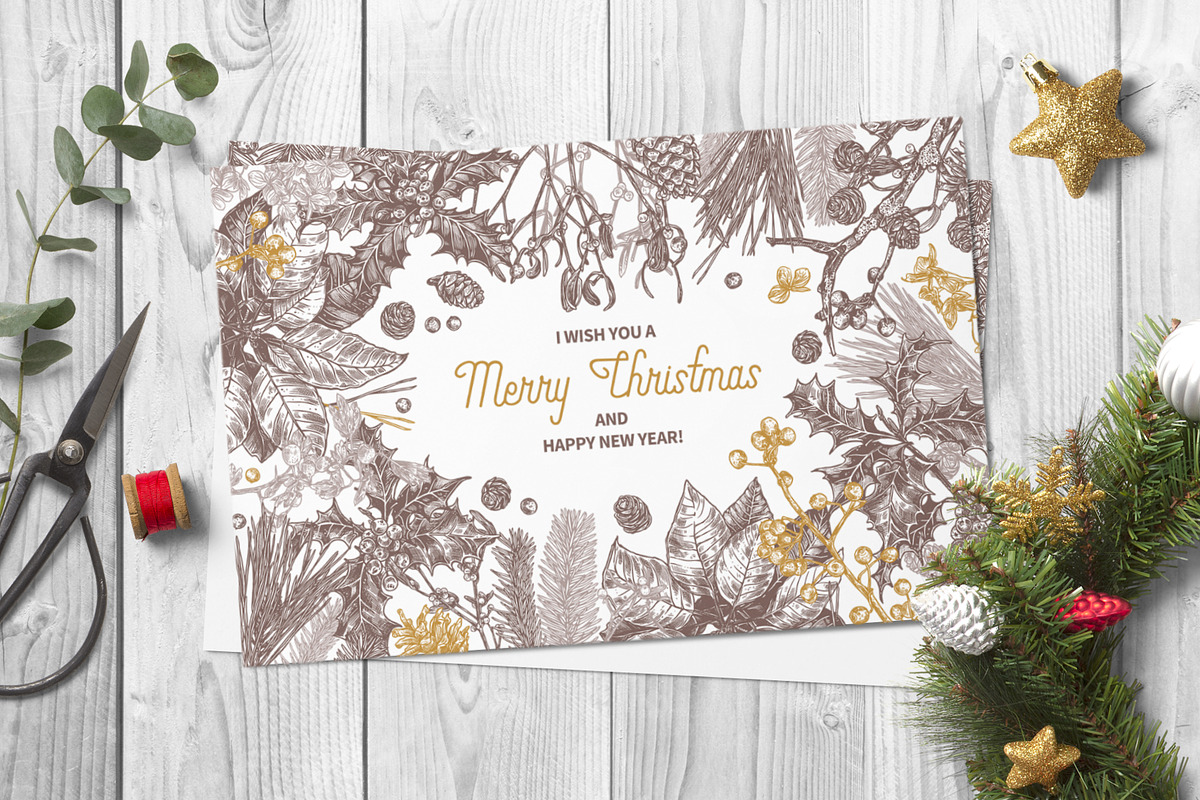 Christmas Botany, a Decorative Illustration by alexrockheart (Photo 3 of 7)