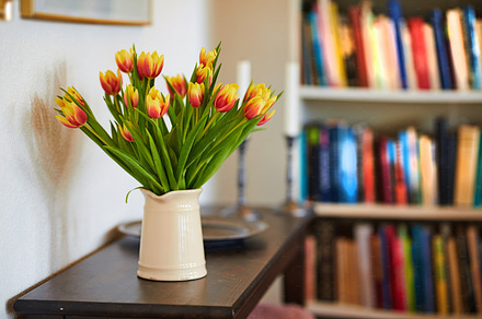 White tulips in my garden, a Photo by Peopleimages.com