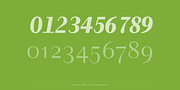 Instance PRO, a Sans Serif Font by preussTYPE (Thumbnail 3 of 9)