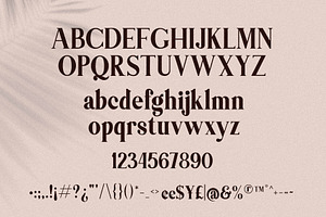 Themagic Serif Font Bonus