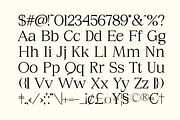 Sirkel - A Modern Serif Font, a Serif Font by Marvadesign (Thumbnail 8 of 10)