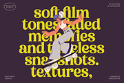 Bikers Groovy Retro Serif Font, a Serif Font by timelesstype.co (Thumbnail 4 of 15)