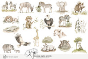 100 African savanna animals clip art, an Animal Illustration by Poppy Lane Studio (Thumbnail 9 of 12)
