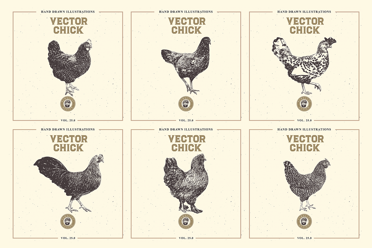 VECTOR CHICK HAND DRAWN BUNDLE VOL25, an Animal Illustration by pawellpi (Photo 7 of 9)