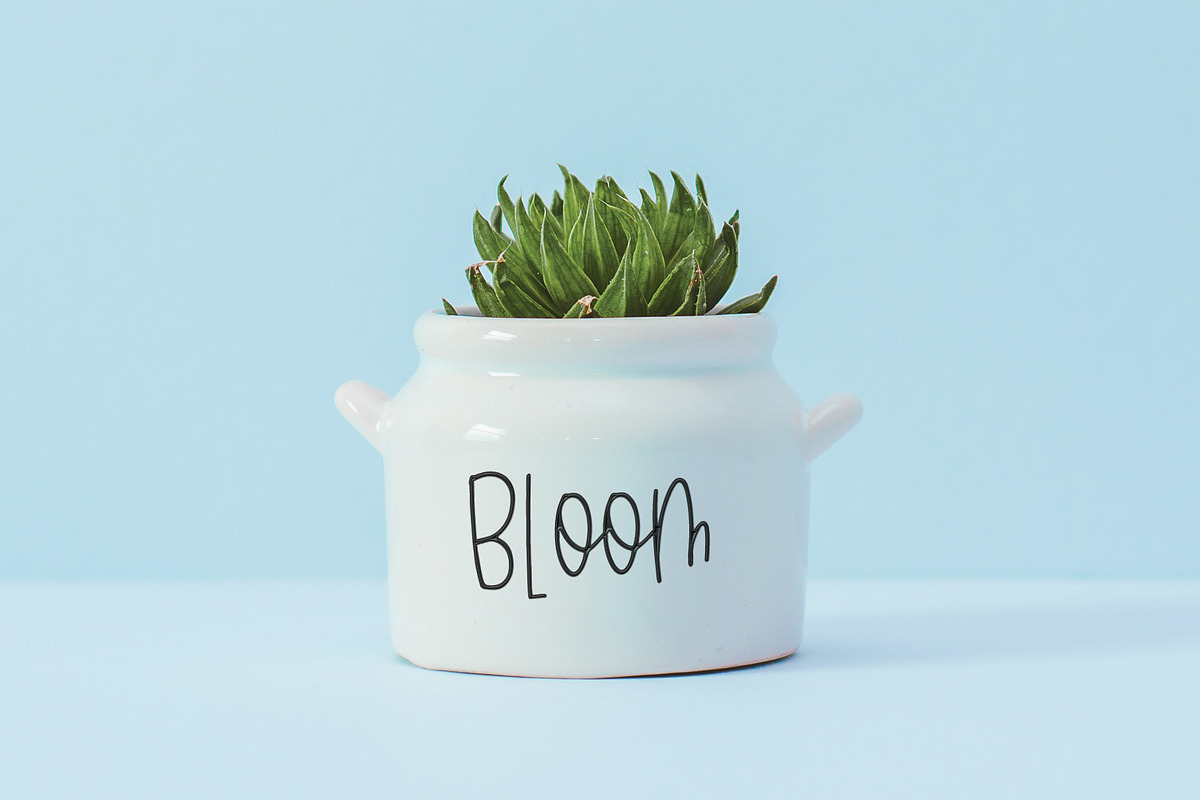 Breezily, a Sans Serif Font by Affinity Grove (Photo 7 of 11)