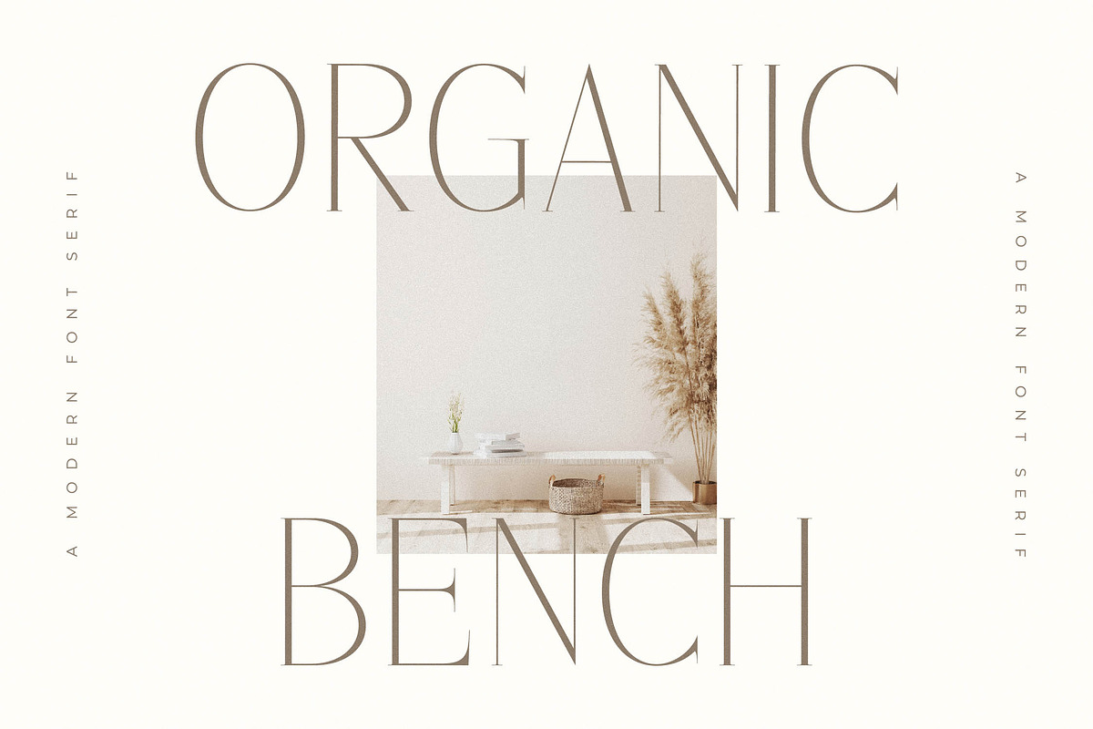 Lisandra A Modern Font Serif, a Serif Font by Storytype Studio (Photo 10 of 15)