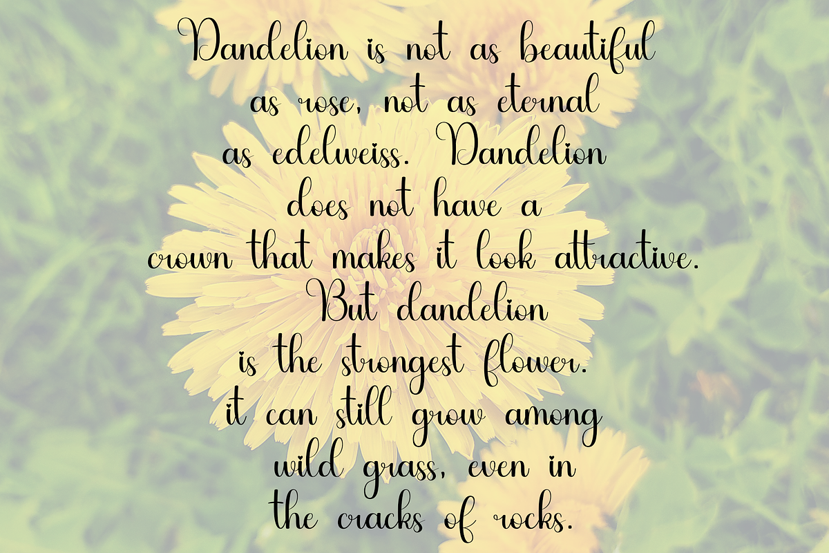 Dandelion, a Handwritten Font by FreshTypeINK (Photo 5 of 8)