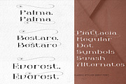 Piattacia font family, a Serif Font by greatypes studio (Thumbnail 7 of 15)