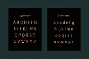 Roseware - Modern Stylish, a Serif Font by RockboyStd (Thumbnail 8 of 12)
