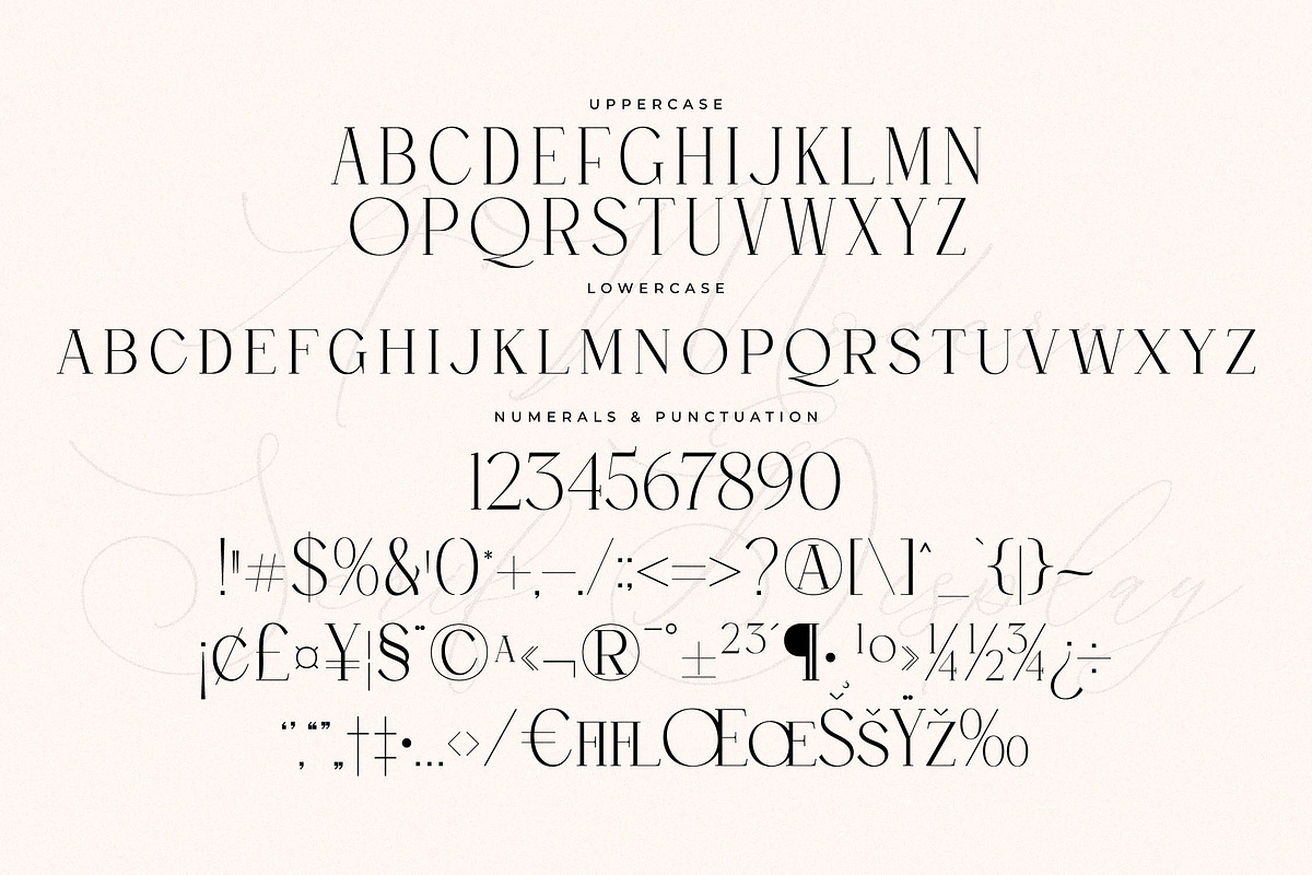 Qelthan A Modern Serif Display, a Serif Font by Storytype Studio (Photo 13 of 15)