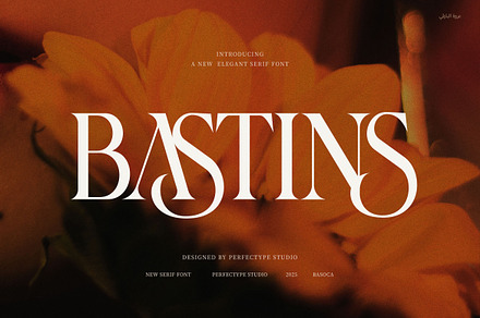 Bastins Elegant Serif Font
