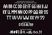 January Festival, a Sans Serif Font by FreshTypeINK (Thumbnail 2 of 8)