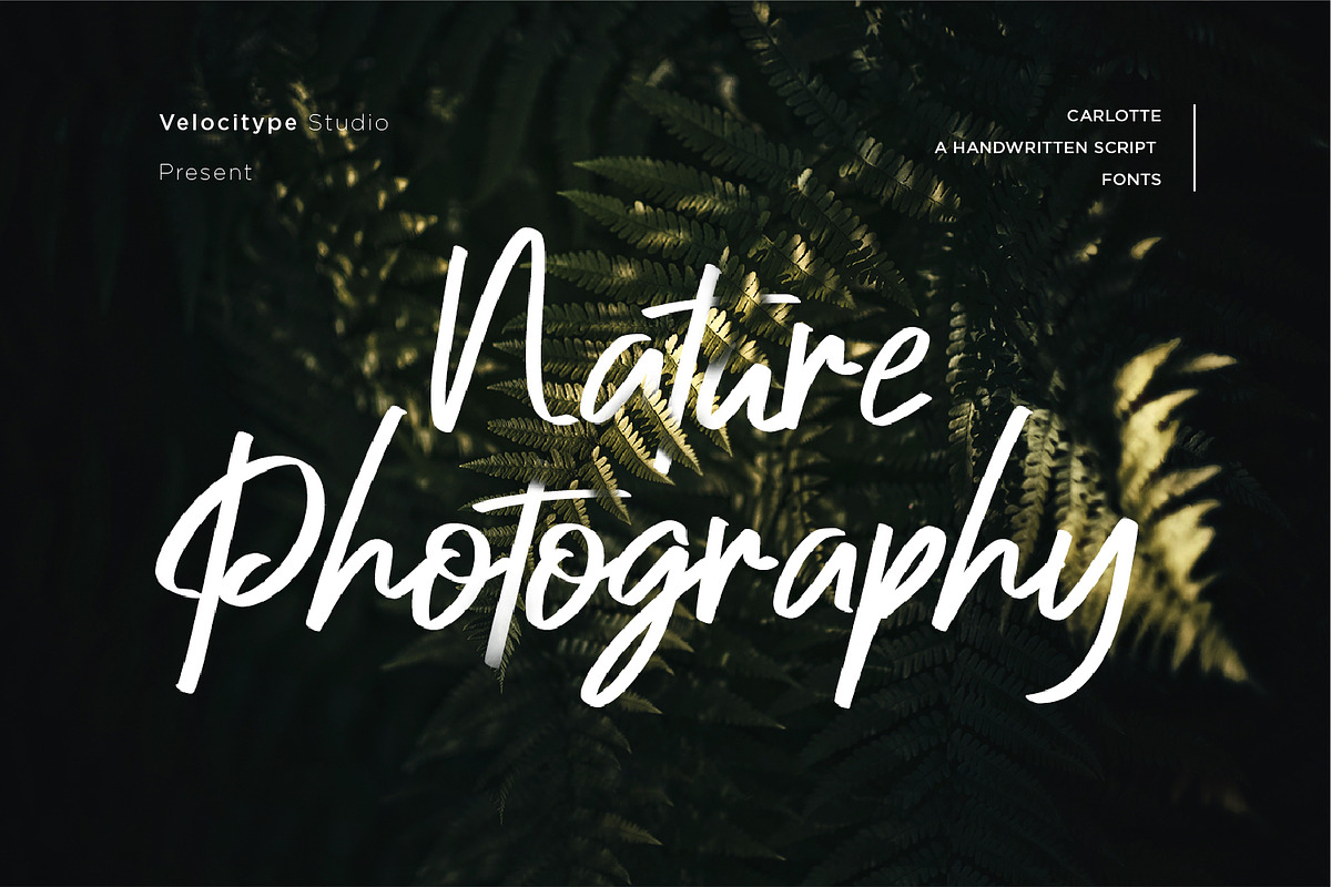 Charlotte - Handwritten Script fonts, a Script Font by Nahar_std (Photo 6 of 8)