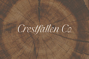 Cedar & Ink Typeface, a Serif Font by aquene (Thumbnail 2 of 16)