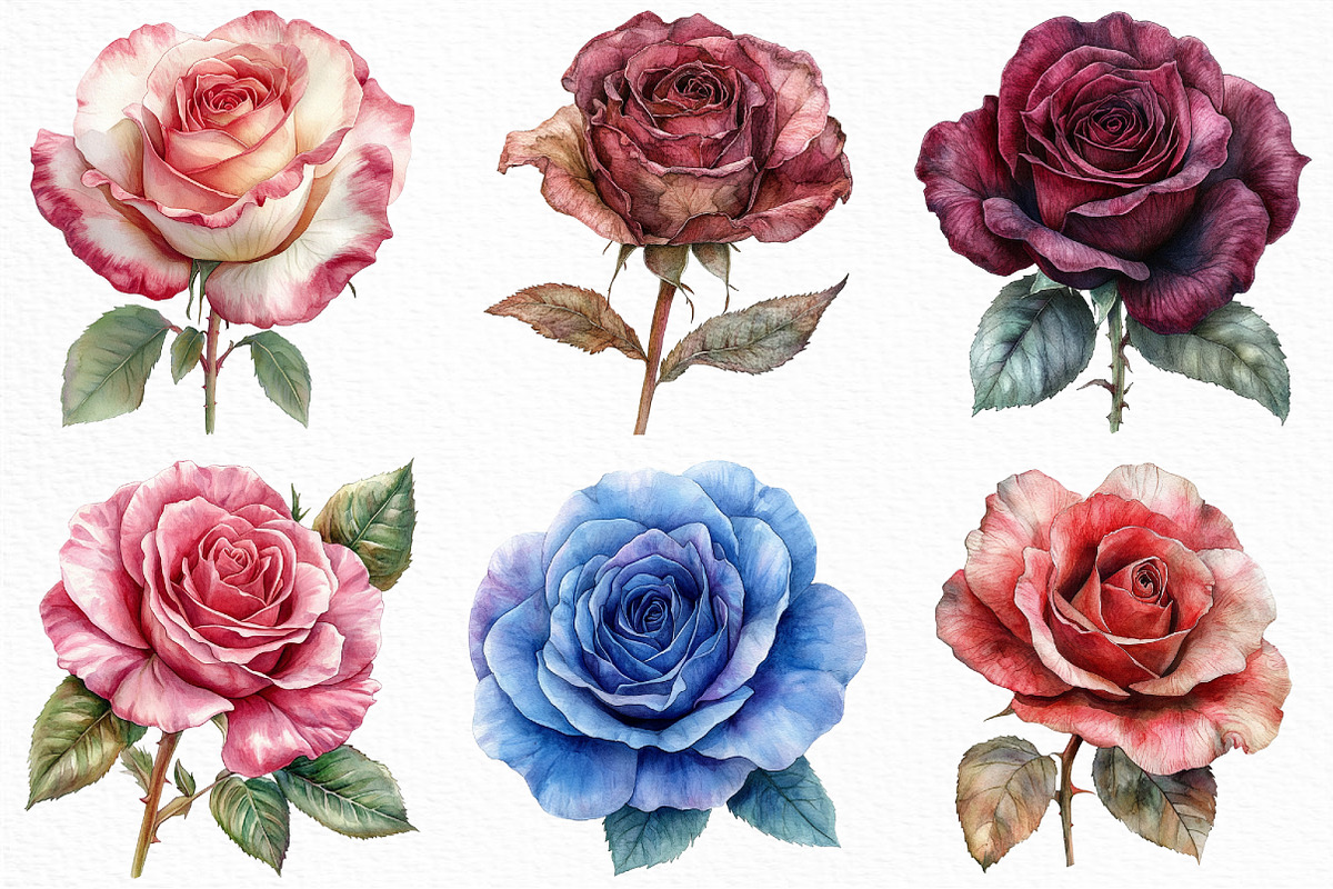 Rose Flower Clipart Bundle, an Illustration by Craft Nest (Photo 4 of 6)