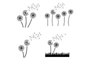 11 floral elements, dandelion frame, an Illustration by Bloom21Art (Thumbnail 4 of 5)