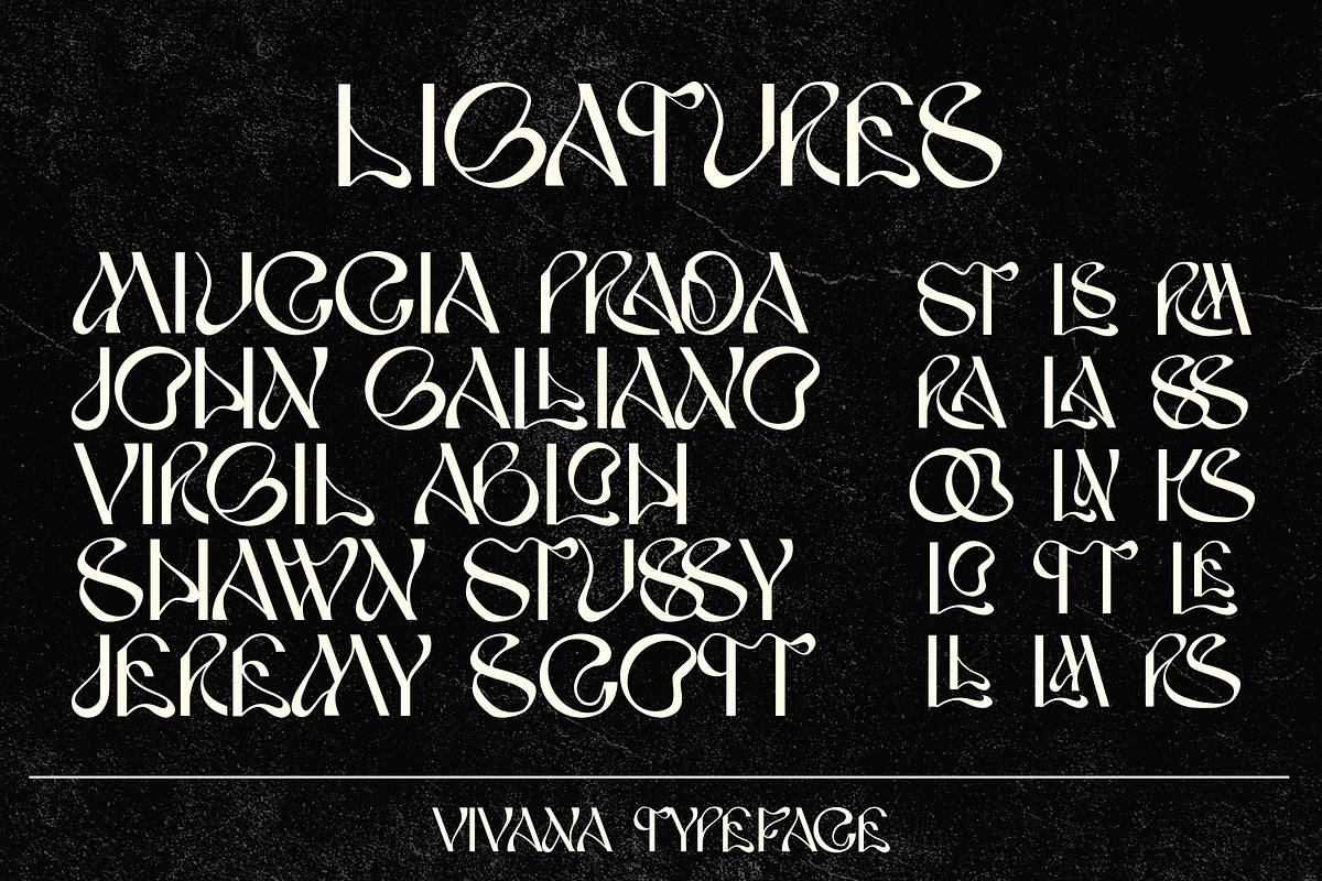 VIVANA | Modern Display, a Sans Serif Font by Alif Devan R. (Photo 11 of 12)