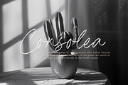 Dimitra Bothani Font, a Script Font by Timurtype (Thumbnail 3 of 7)
