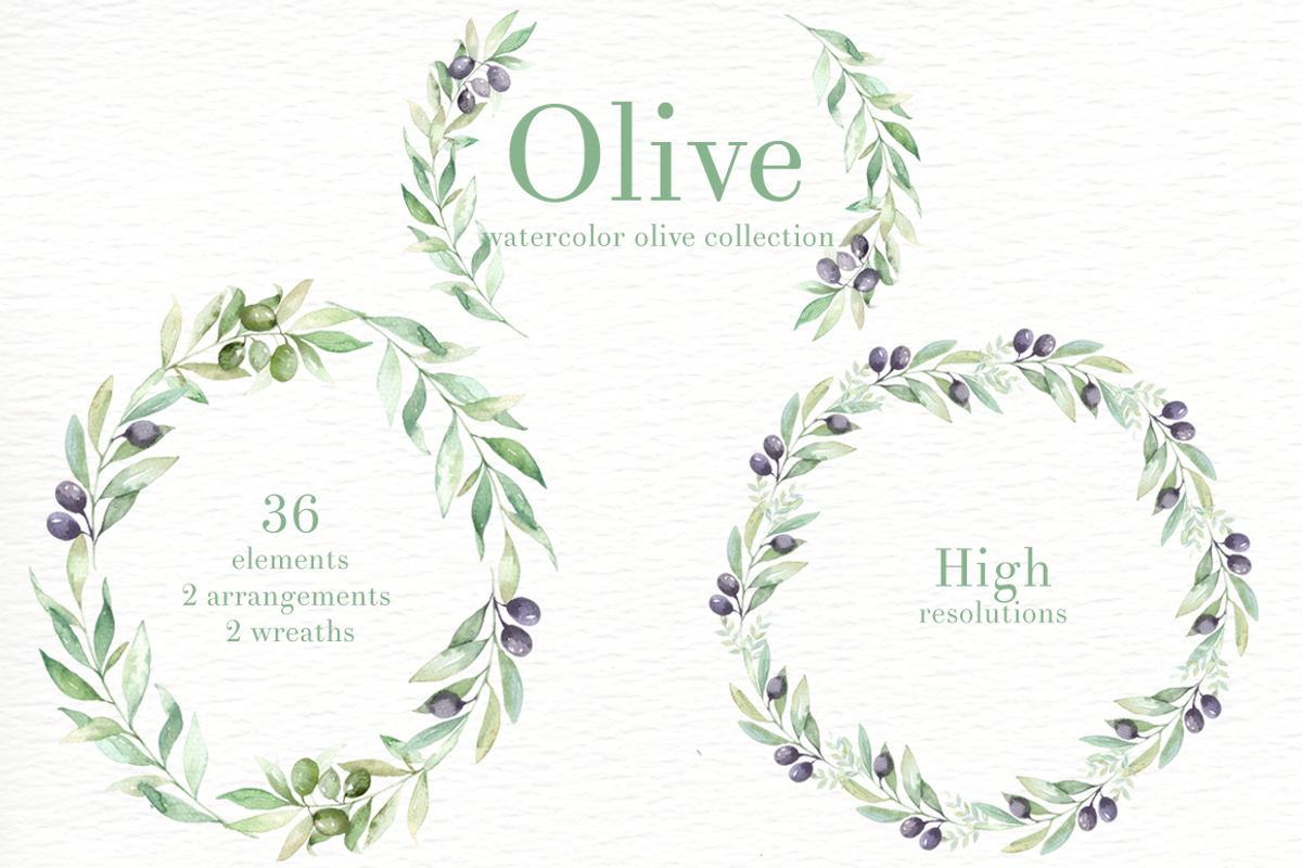 Olive Watercolor clipart, an Illustration by everysunsun (Photo 4 of 4)
