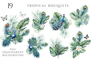 Tropical Floral And Peacocks