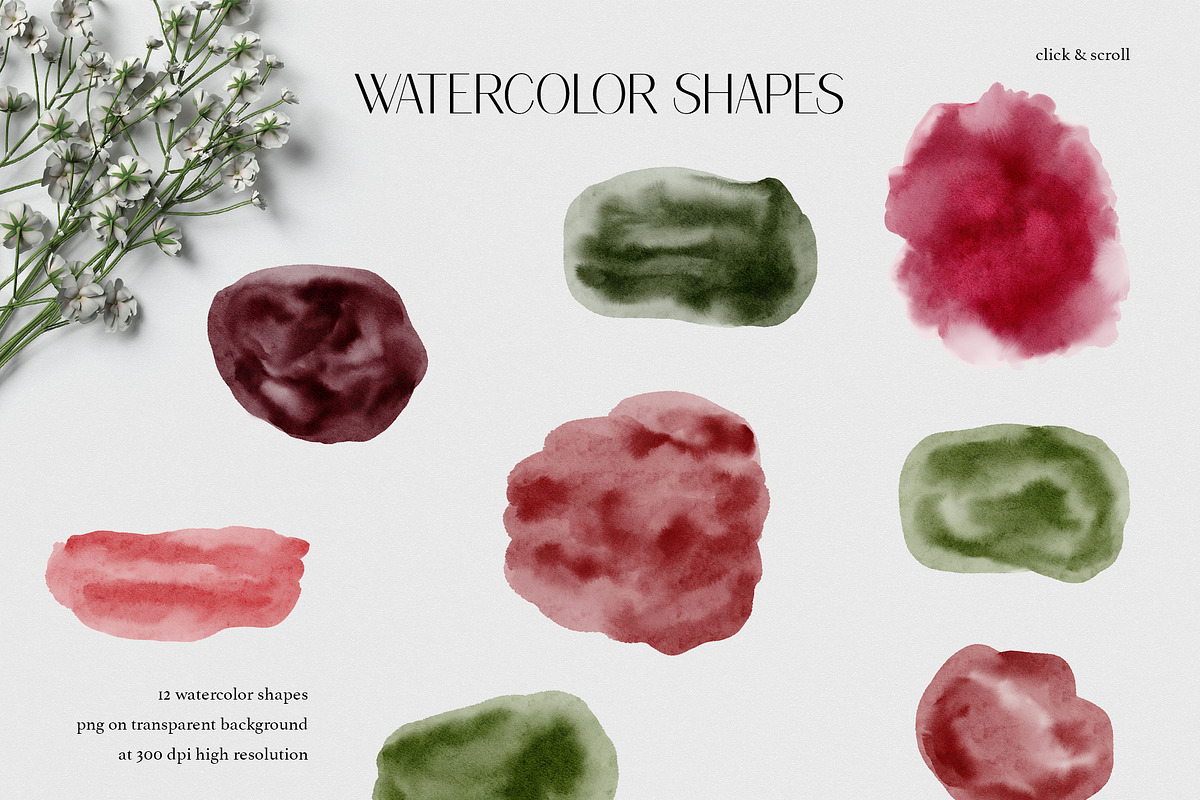 MY DEAR ROSE - Watercolor Roses, an Illustration by Backyard Rose (Photo 14 of 18)