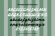 Vintedge Nostalgic Vibe Script Font, a Script Font by Struvictory.art (Thumbnail 5 of 9)