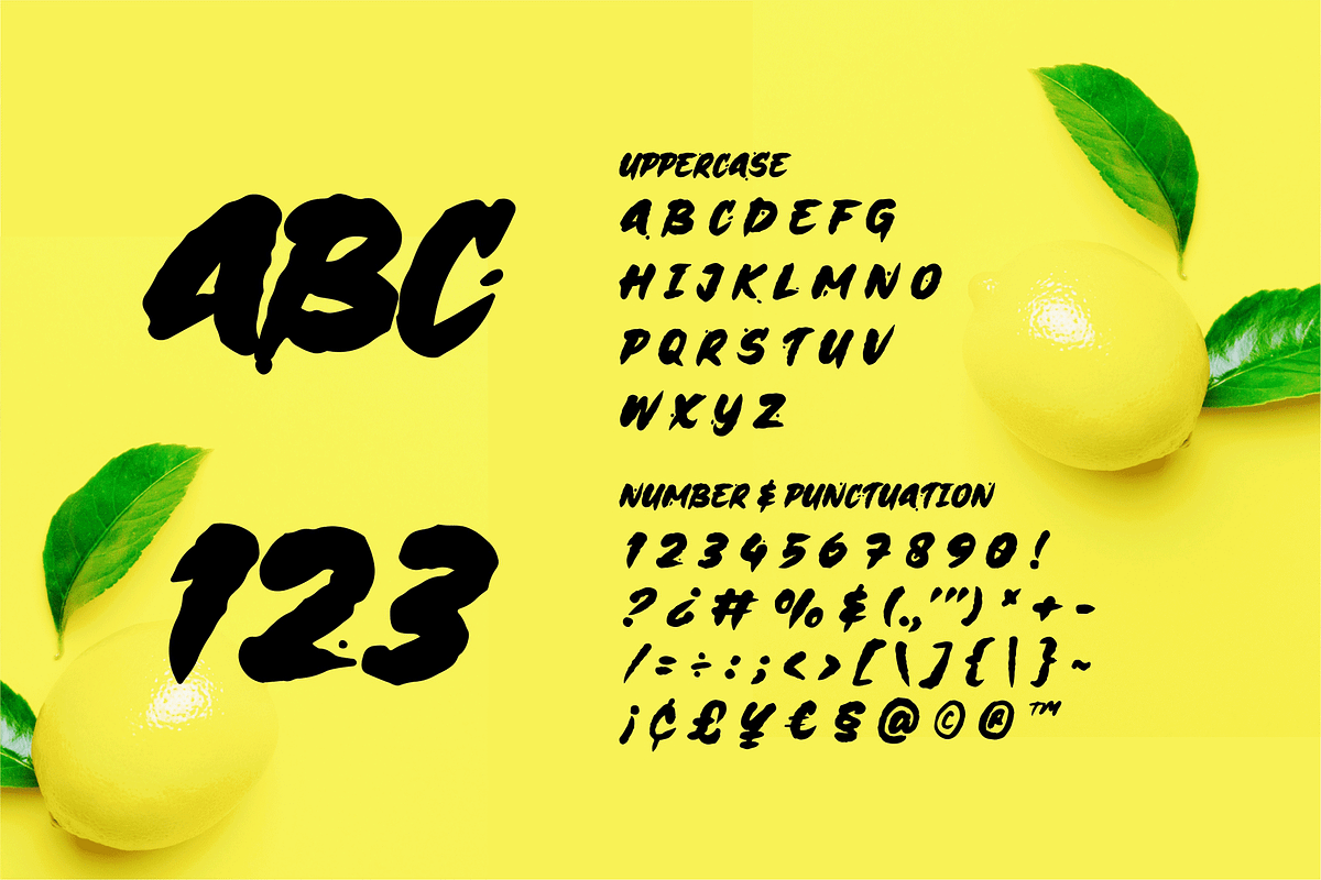 Scribles – A Brush Font, a Handwritten Font by overlaytemplates (Photo 4 of 5)