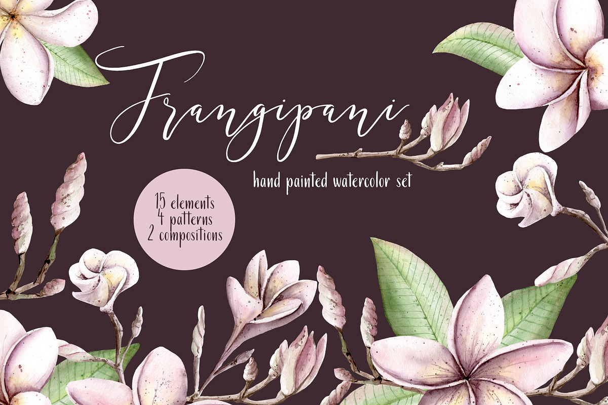 Frangipani Floral Watercolor Clipart, a Decorative Illustration by Sha1nee (Photo 1 of 5)
