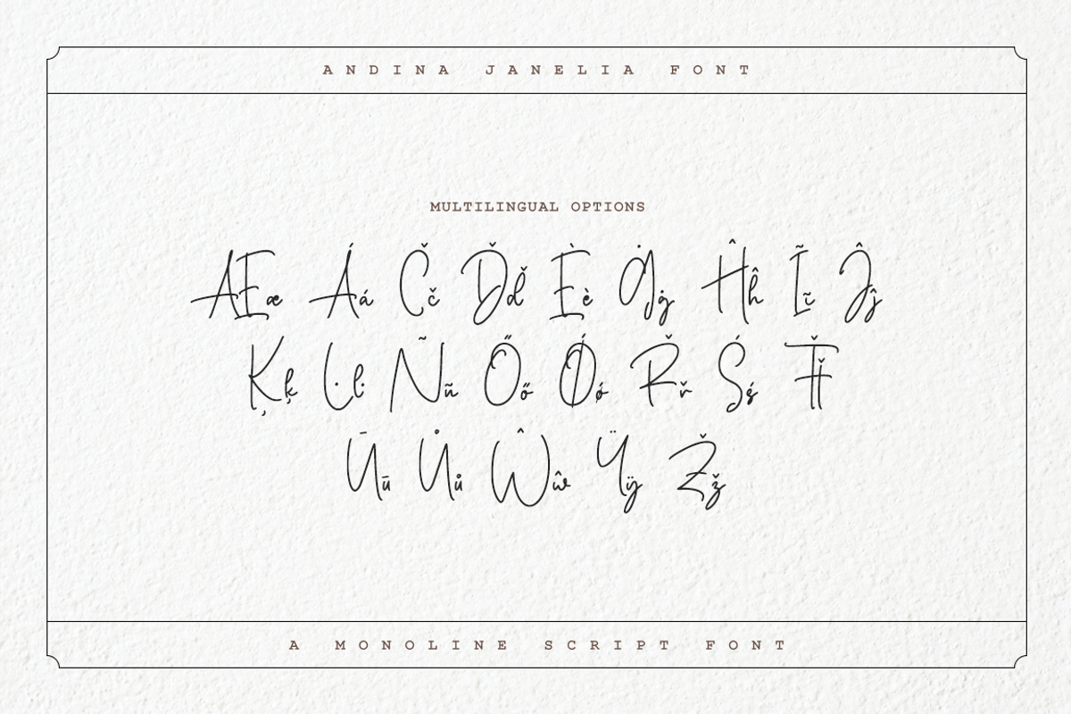Andina Janelia - Signature Font, a Script Font by RockboyStd (Photo 11 of 12)