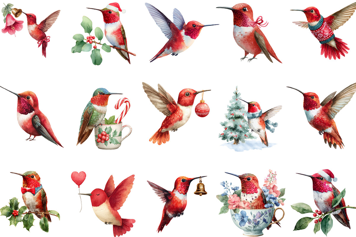 Funny Red Hummingbird Clipart, an Illustration by designcity5 (Photo 3 of 5)