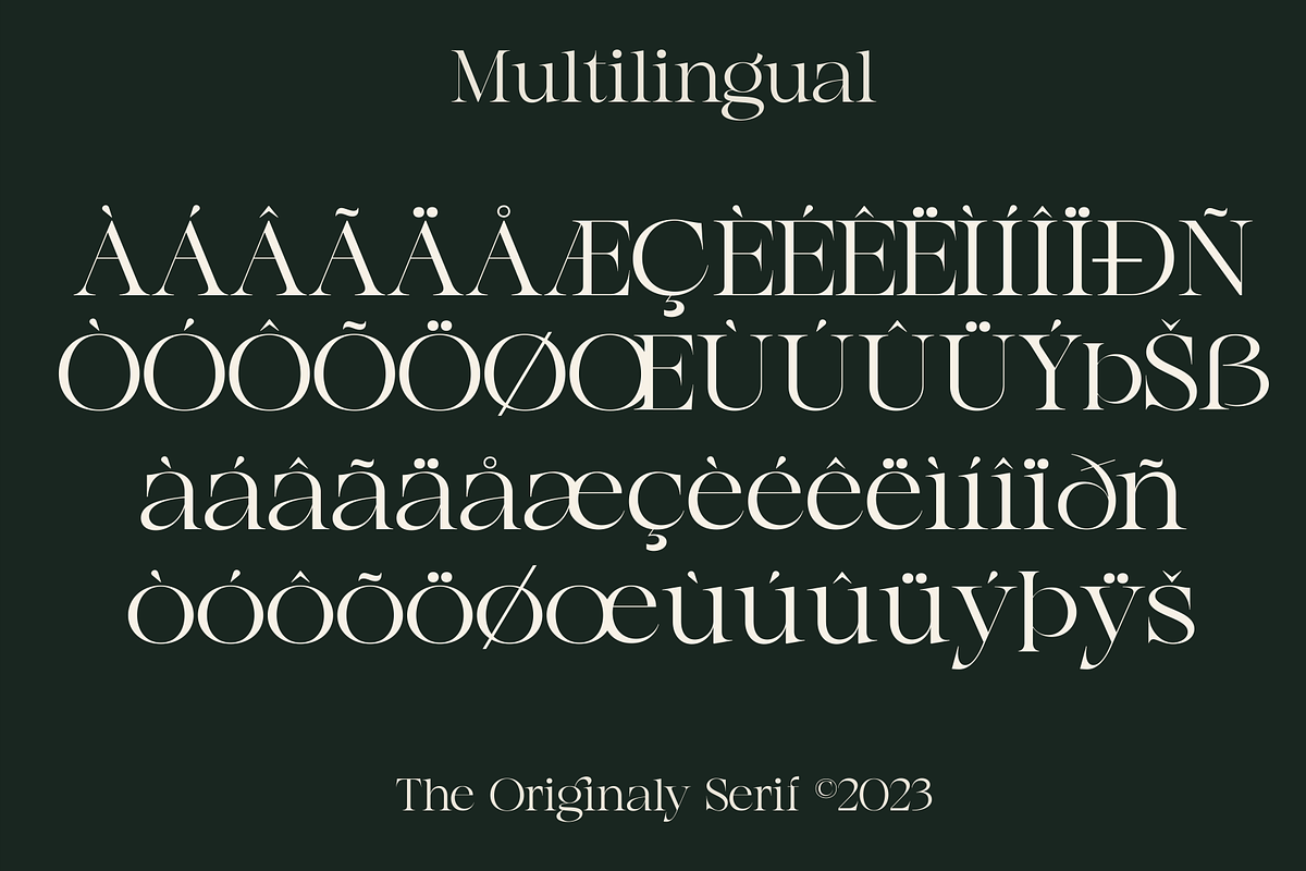 Agista Display - A Classic Serif, a Serif Font by Marvadesign (Photo 5 of 7)