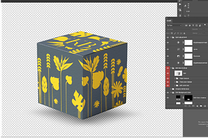 Mockup Square Box