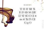 Crescent Slim - Stylish Serif Font, a Serif Font by Letterhend Studio (Thumbnail 8 of 10)